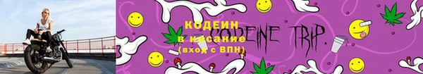 ПСИЛОЦИБИНОВЫЕ ГРИБЫ Кулебаки