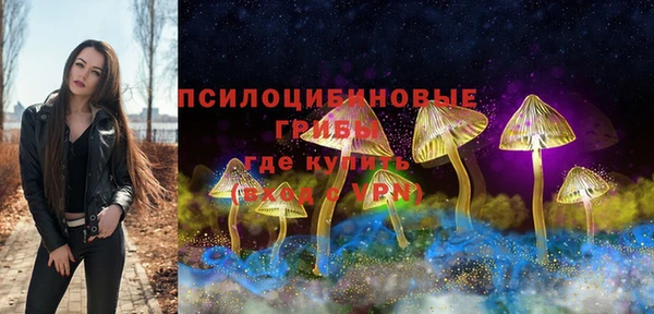 молекула духа Куйбышев