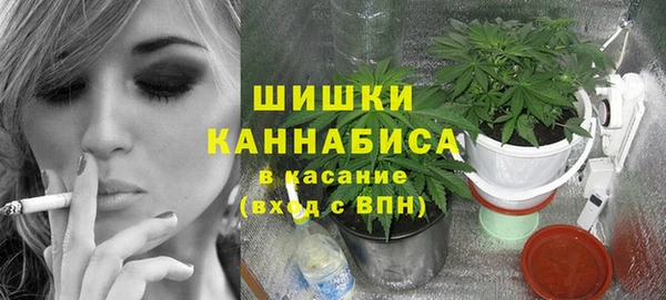 дмт Алзамай