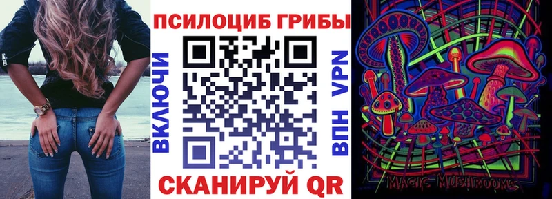 Галлюциногенные грибы Psilocybe  Алдан 